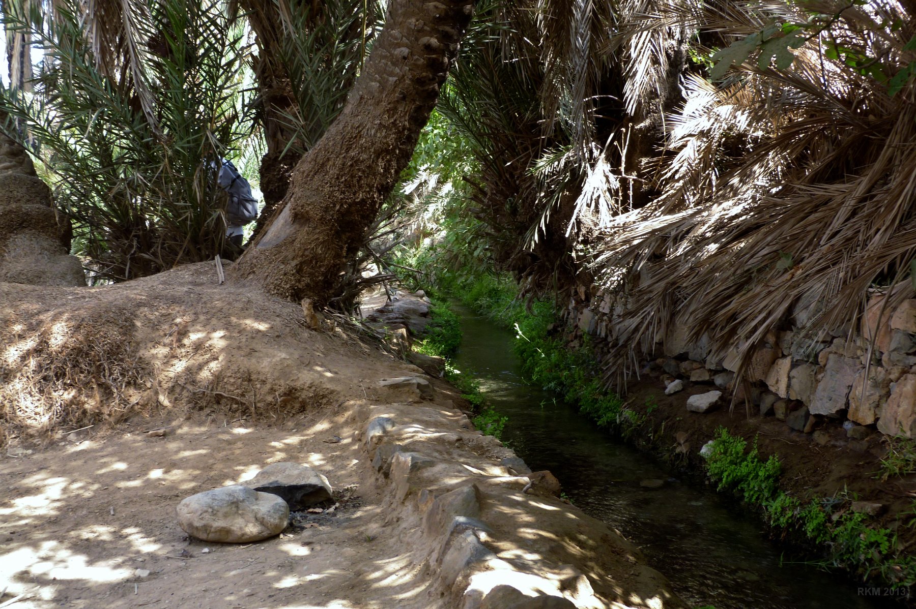 Oasis de Tiout, le canal d'irrigation de l'oasis